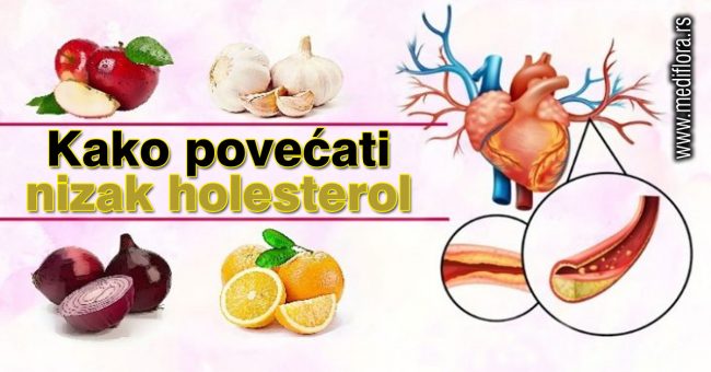 Kako-povecati-nizak-holesterol Kako povećati nizak holesterol
