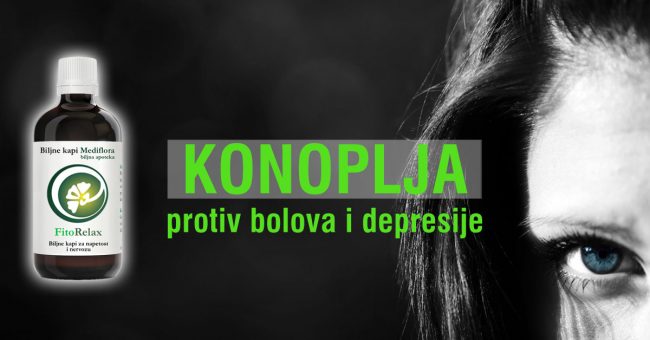 Konoplja-protiv-bolova-i-depresije