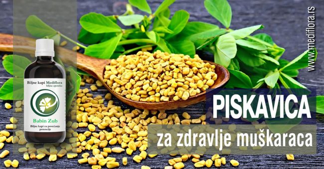 Piskavica-za-zdravlje-muškaraca Piskavica za zdravlje muškaraca