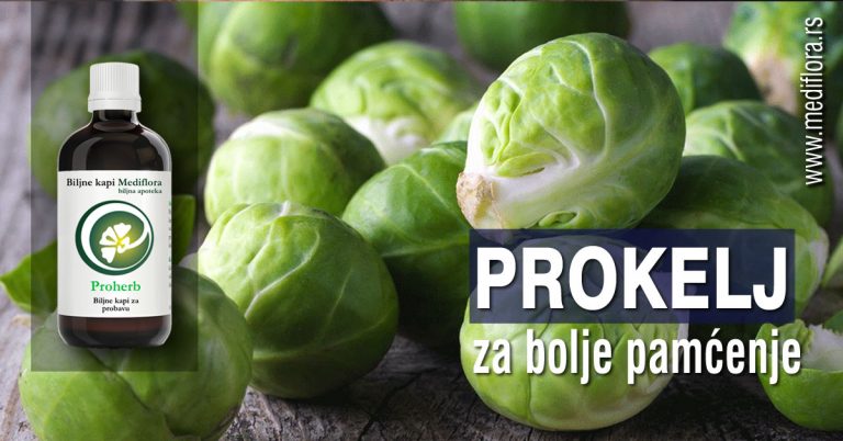 Prokelj za bolje pamćenje