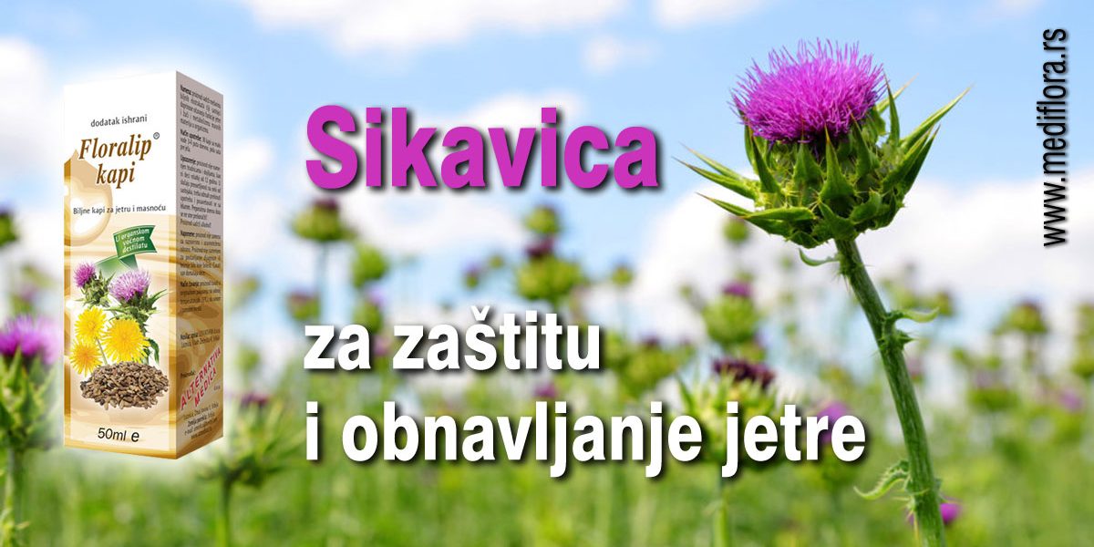 Sikavica-za-zaštitu-i-obnavljanje-jetre
