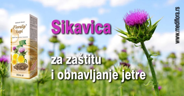 Sikavica-za-zaštitu-i-obnavljanje-jetre