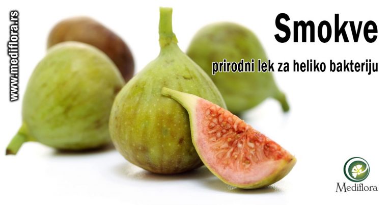 Smokve—prirodni-lek-za-heliko-bakteriju Smokve - prirodni lek za heliko bakteriju