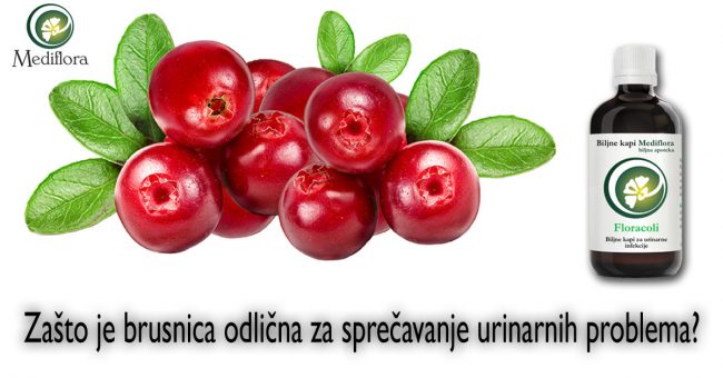 Zašto-je-brusnica-odlicna-za-sprecavanje-urinarnih-problema