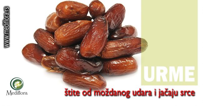 urme-štite-od-moždanog-udara-i-jacaju-srce