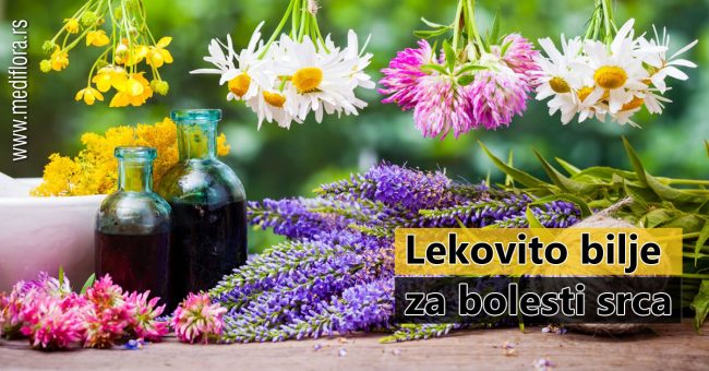 Lekovito-bilje-za-bolesti-srca Lekovito bilje za bolesti srca
