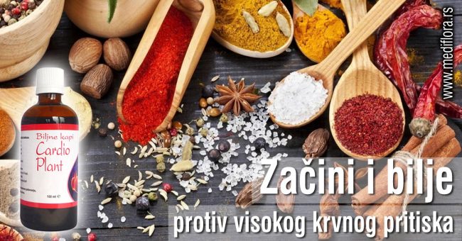 Zacini-i-bilje-protiv-visokog-krvnog-pritiska