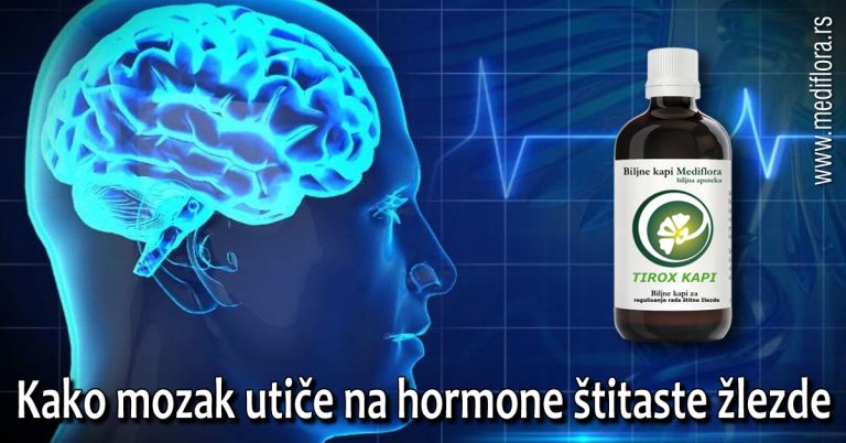 Kako mozak utiče na hormone štitaste žlezde