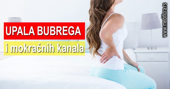 Upala-bubrega-i-mokraćnih-kanala Upala bubrega i mokraćnih kanala