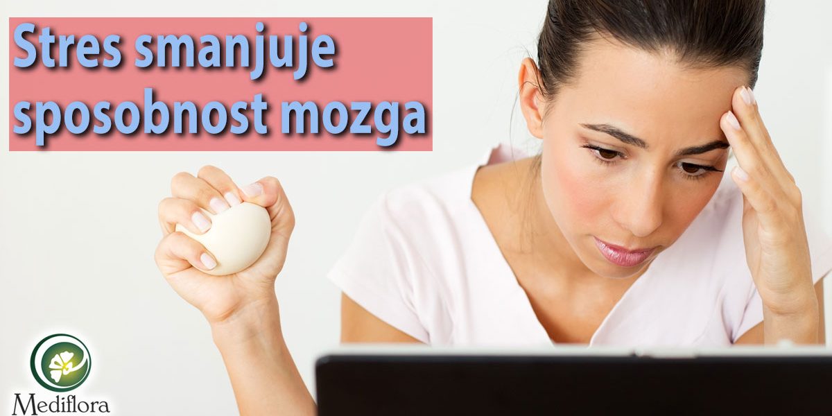Stres-smanjuje-sposobnost-mozga Stres smanjuje sposobnost mozga