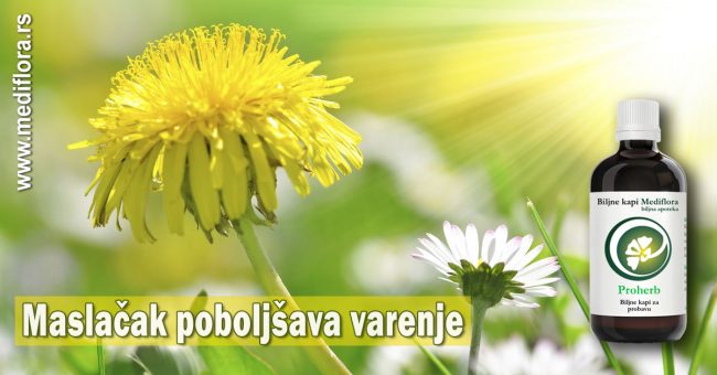 Maslačak-poboljšava-varenje Maslačak poboljšava varenje