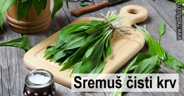 Sremuš čisti krv