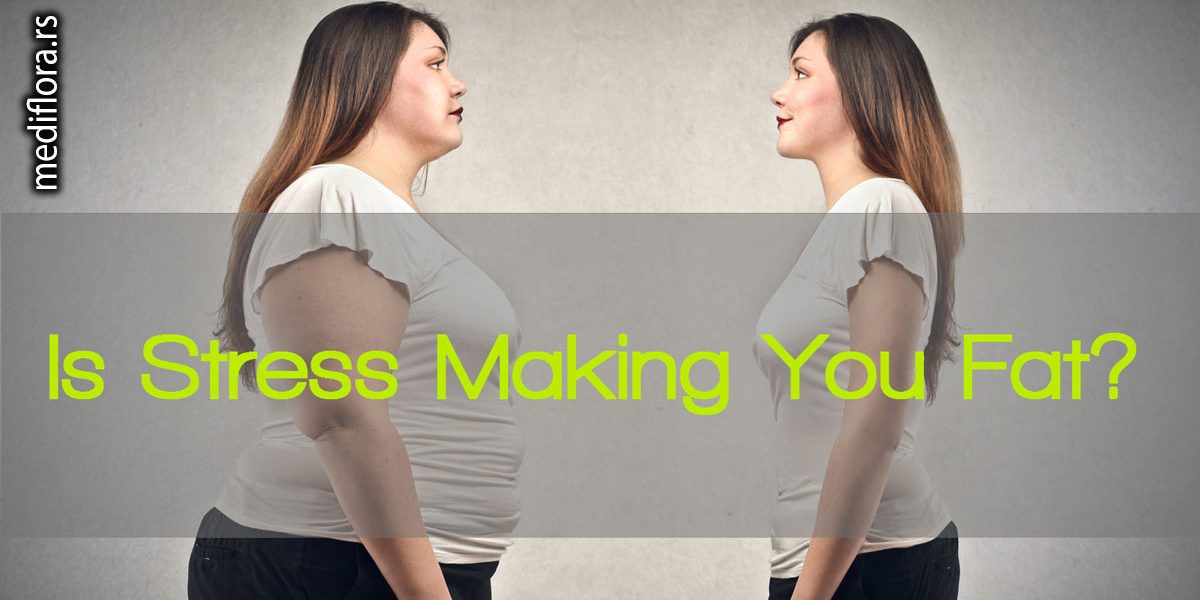 Stres-utiče-na-debljanje-i-pojavu-viška-kilograma Stres utiče na debljanje i pojavu viška kilograma