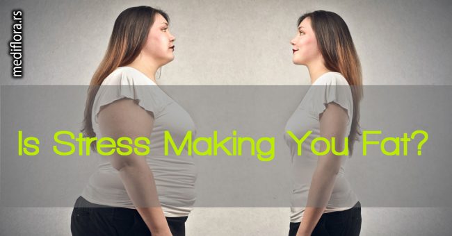 Stres utiče na debljanje i pojavu viška kilograma