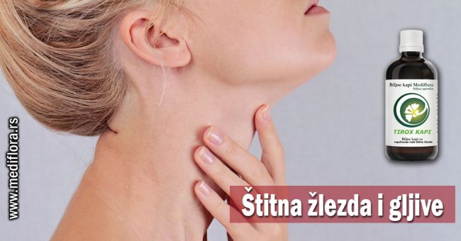 Štitna žlezda i gljive