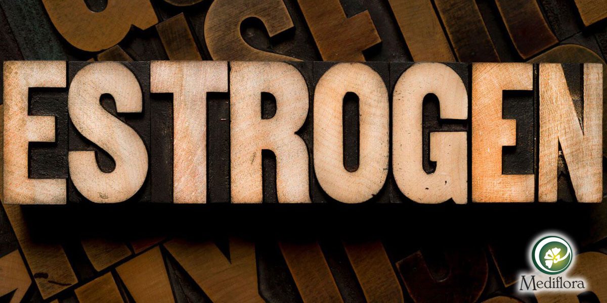 Povećanje-nivoa-estrogena-prirodnim-putem Povećanje nivoa estrogena prirodnim putem