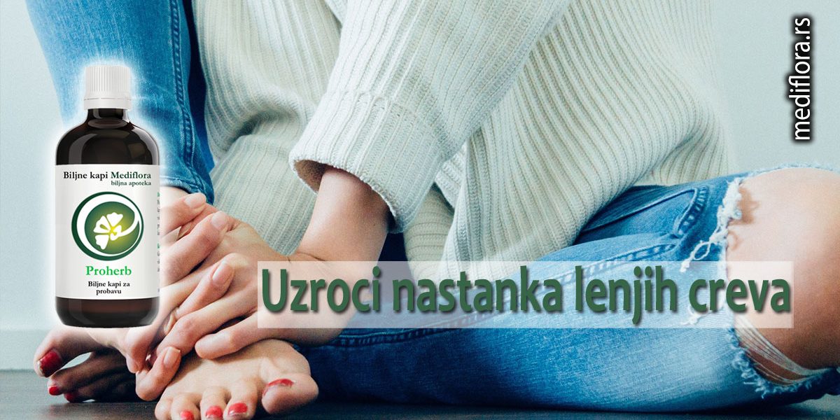 Uzroci nastanka lenjih creva