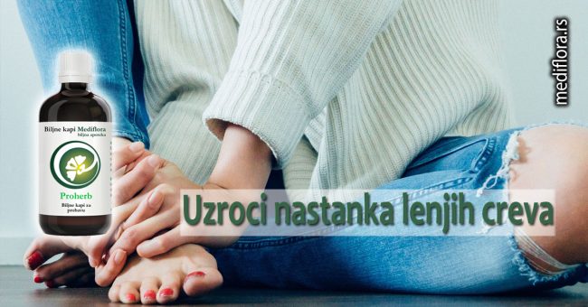 Uzroci-nastanka-lenjih-creva Uzroci nastanka lenjih creva