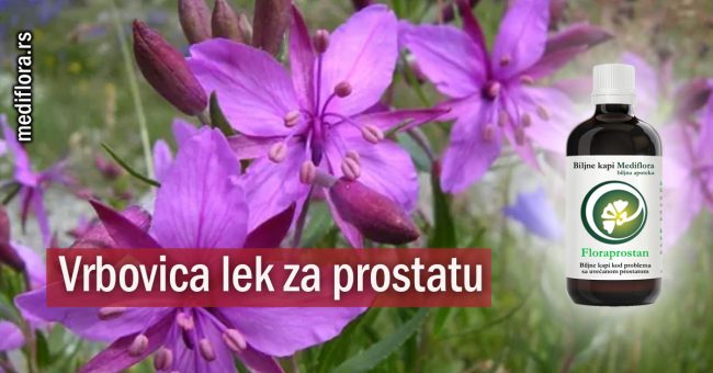 Vrbovica-lek-za-prostatu Vrbovica lek za prostatu