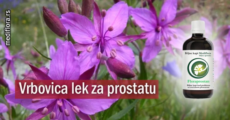 Vrbovica lek za prostatu