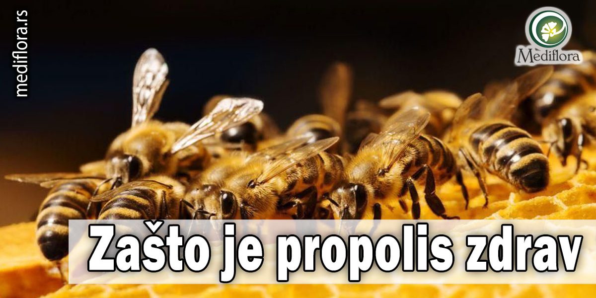 Zašto-je-propolis-zdrav Zašto je propolis zdrav