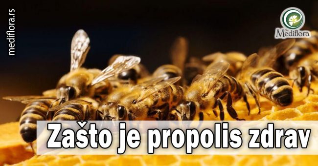 Zašto-je-propolis-zdrav Zašto je propolis zdrav
