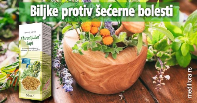 Biljke protiv šećerne bolesti