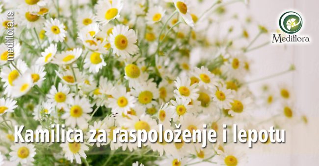Kamilica za raspoloženje i lepotu