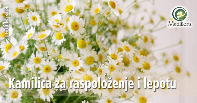 Kamilica-za-raspoloženje-i-lepotu Kamilica za raspoloženje i lepotu