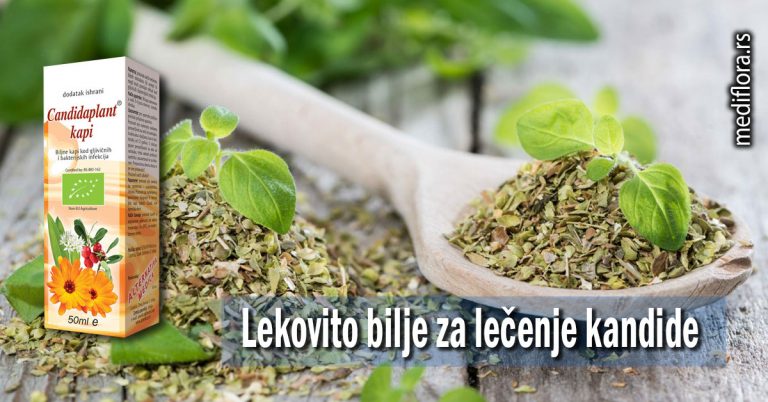 lečenje kandide