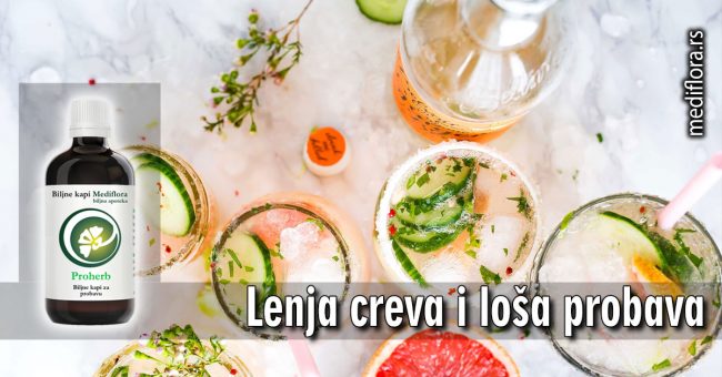 Lenja creva i loša probava