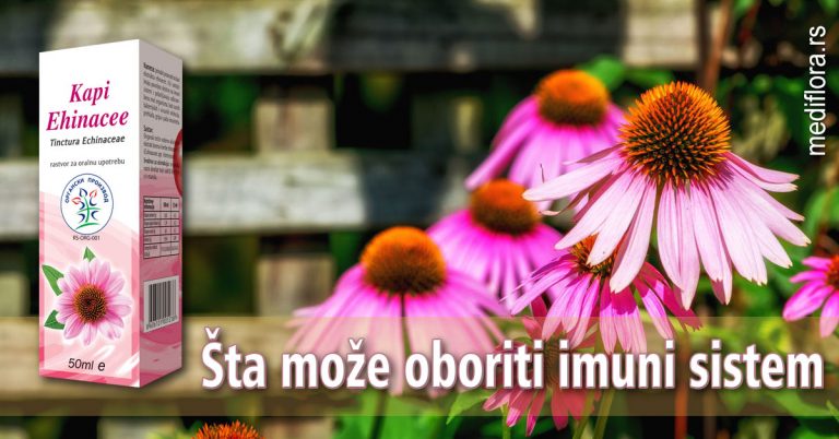 Šta-može-oboriti-imuni-sistem Šta može oboriti imuni sistem