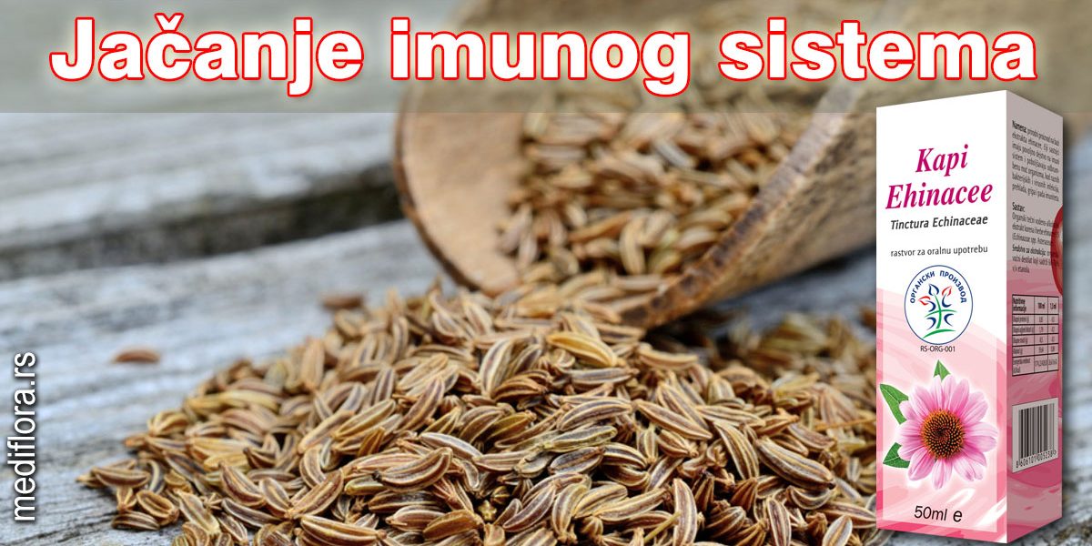 Jačanje-imunog-sistema Jačanje imunog sistema