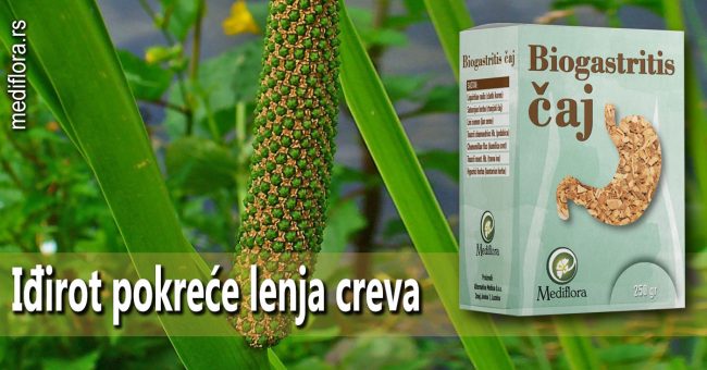 Iđirot pokreće lenja creva