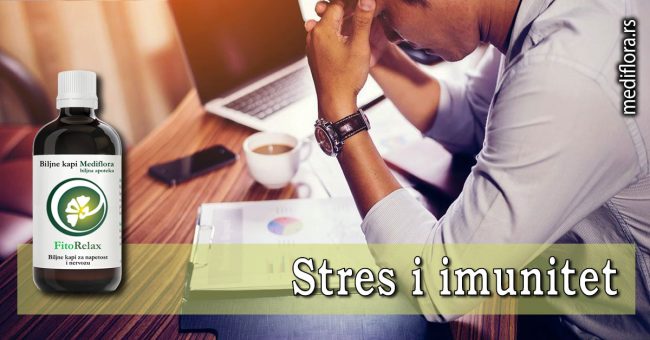 Stres-i-imunitet Stres i imunitet