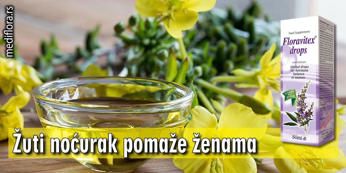 Žuti-noćurak-pomaže-ženama Žuti noćurak pomaže ženama