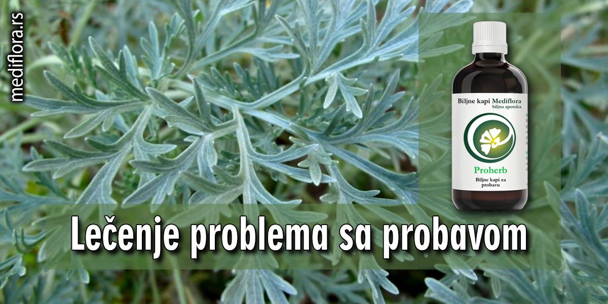 Lečenje-problema-sa-probavom Lečenje problema sa probavom