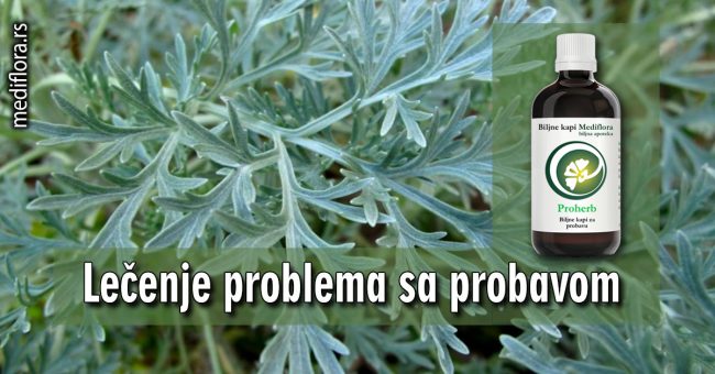 Lečenje-problema-sa-probavom Lečenje problema sa probavom