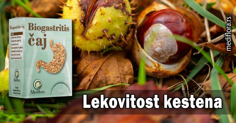 Lekovitost-kestena