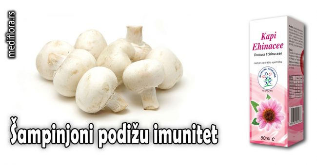 Šampinjoni-podižu-imunitet Šampinjoni podižu imunitet