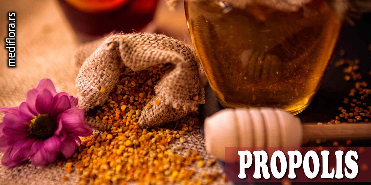 Propolis Propolis