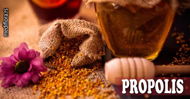 Propolis