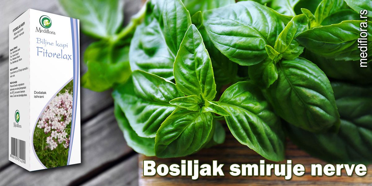 Bosiljak-smiruje-nerve Bosiljak smiruje nerve