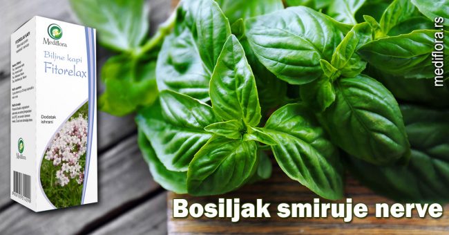 Bosiljak smiruje nerve