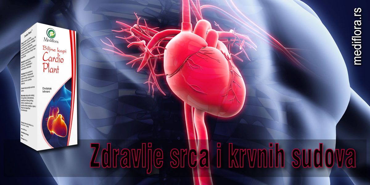 Zdravlje-srca-i-krvnih-sudova Zdravlje srca i krvnih sudova