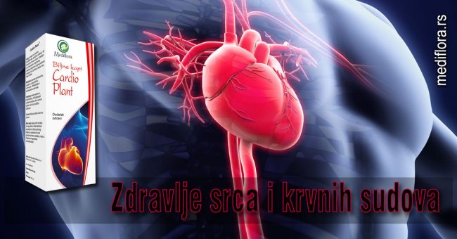 Zdravlje srca i krvnih sudova