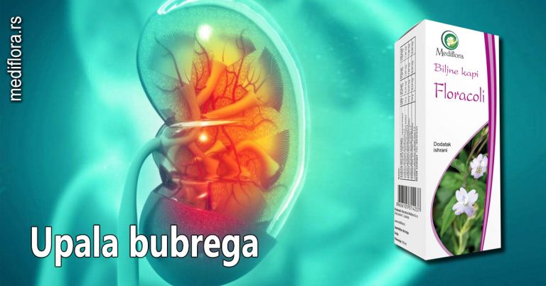 Upala-bubrega Upala bubrega