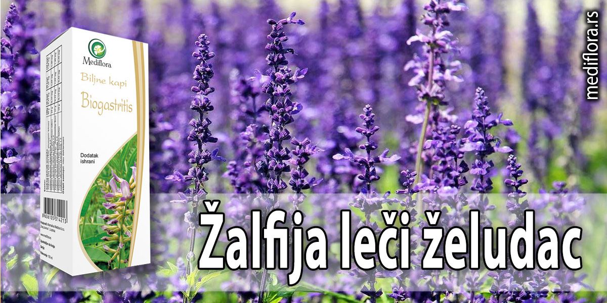 Žalfija-leči-želudac Žalfija leči želudac