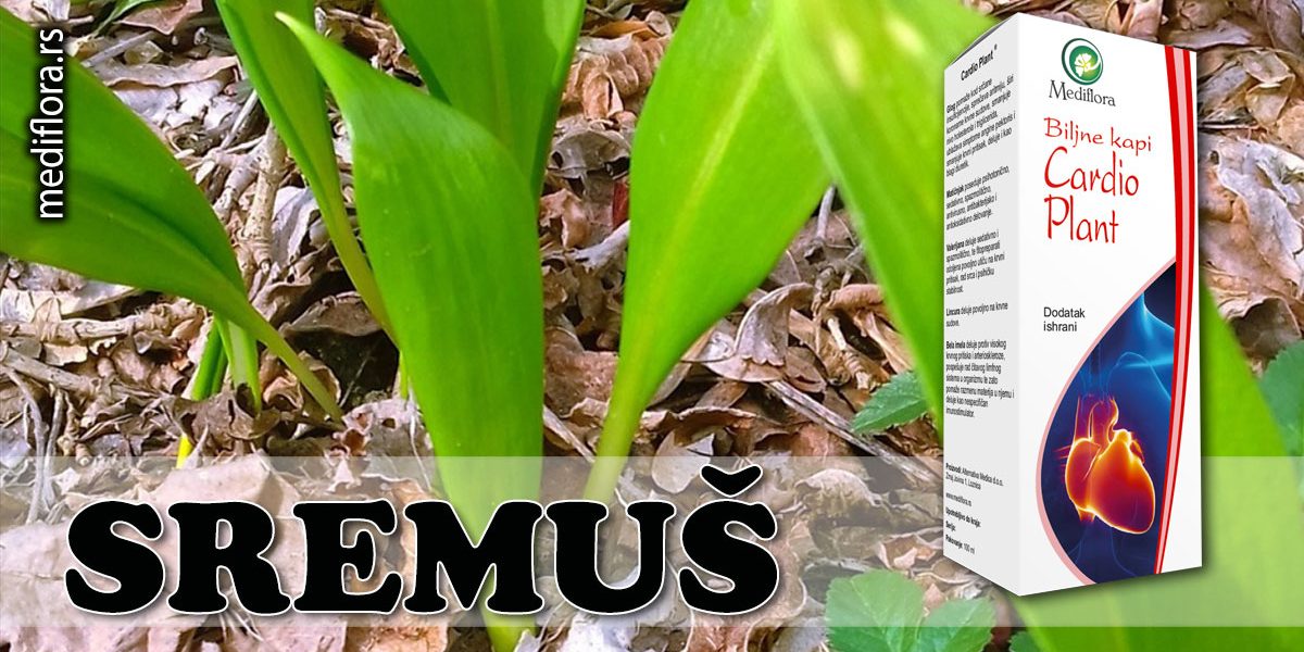 Sremuš Sremuš