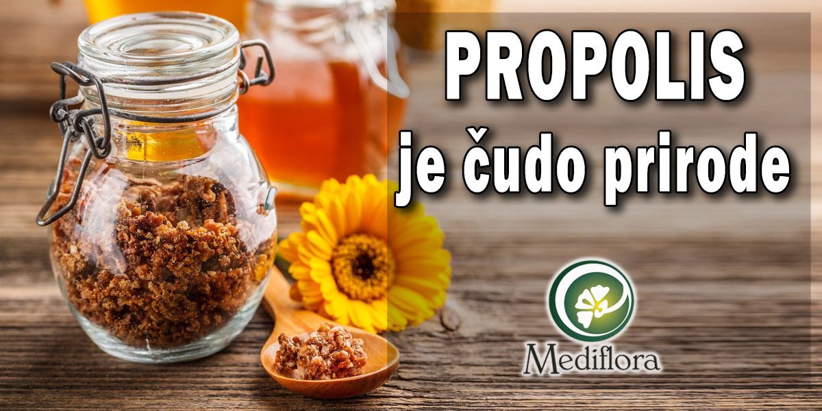 Propolis-je-čudo-prirode Propolis deluje protiv virusa